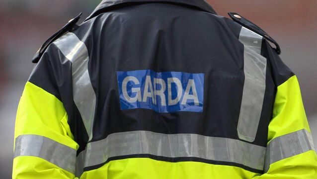 <p>The garda said he got a "very strong smell of intoxicating liquor" from the driver.</p> <p>The garda said he got a "very strong smell of intoxicating liquor" from the driver.</p>