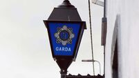 DENIS stock 153 Garda probe launched as substantial sum of money taken from Cork school
