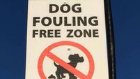 Dog Fouling Poster.jpg Councillor says Cork council should get its sh*t together over 'shock' dog poo poster