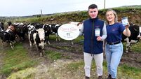 ‘We spotted a gap in the market..and went for it’: Cork siblings making ice-cream on their home farm ‘We spotted a gap in the market..and went for it’: Cork siblings making ice-cream on their home farm