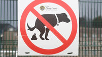 Increasing the number of fines the best way to tackle dog fouling, says cork councillor Increasing the number of fines the best way to tackle dog fouling, says cork councillor
