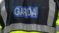Garda from Behind Generic.jpg Garda stock