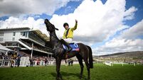 2453855.jpg Cheltenham Racing Festival - Day One