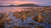 Burren NP.jpg Step into nature during National Biodiversity Week