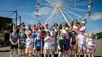 New arrivals and hot weather see visitors flocking to Cork's Fota Island Wildlife Park New arrivals and hot weather see visitors flocking to Cork's Fota Island Wildlife Park