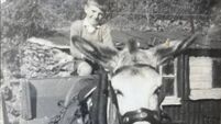 Micheál Kenefick on the family donkey.jpg Throwback Thursday: When the horse and cart ruled in Cork