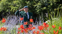 Pictures: Irish people who died on peacekeeping missions remembered at event in Cork's Fitzgerald’s Park Pictures: Irish people who died on peacekeeping missions remembered at event in Cork's Fitzgerald’s Park