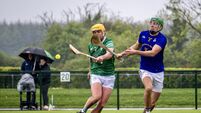 Cork Hurling: Subtle improvements have St Finbarr's well primed for championship Cork Hurling: Subtle improvements have St Finbarr's well primed for championship