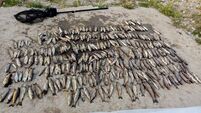 516414040_2569607923390277_2760497268270933022_n.jpg Almost €80k to restore fish stocks after Blackwater incident destroyed over 41,000 fish