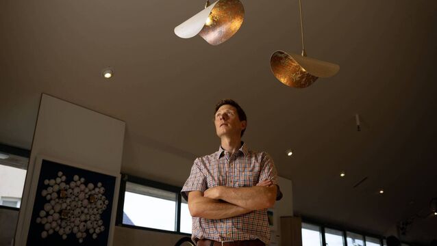 <p>Alan Horgan, of Alan Horgan Studio, co-organiser of Irish Design Works 2026</p> <p>Alan Horgan, of Alan Horgan Studio, co-organiser of Irish Design Works 2026</p>