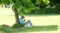How trees can help Cork city cope with more heat How trees can help Cork city cope with more heat