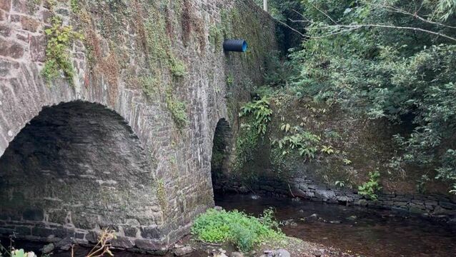 <p>Water flowing from the East Cliff Rd storm drain flowing into the Butlerstown river in Glanmire. Picture: Donal O'Keeffe</p> <p>Water flowing from the East Cliff Rd storm drain flowing into the Butlerstown river in Glanmire. Picture: Donal O'Keeffe</p>