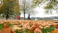 8 simple ways to reset your wellbeing this September 8 simple ways to reset your wellbeing this September