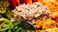HEALTH Fibre or protein - which is more important?