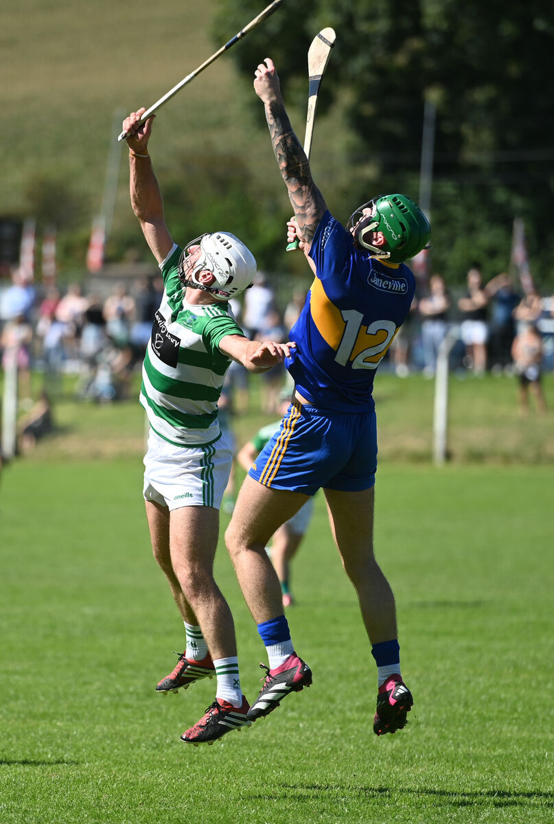 Dan Greene was very influential for Carrigaline at half-back. Picture: Larry Cummins Dan Greene was very influential for Carrigaline at half-back. Picture: Larry Cummins