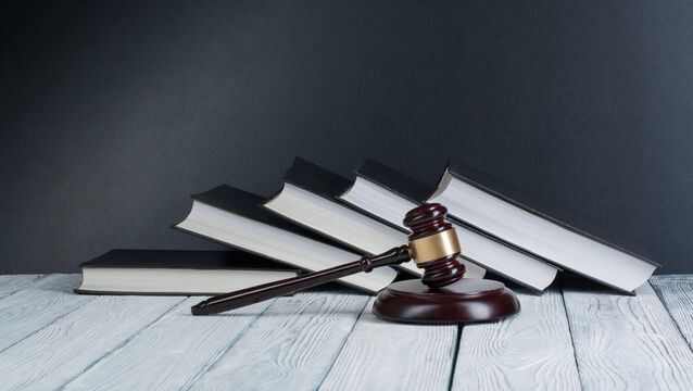 <p>Judge Philip O’Leary said that the persistence of the offending and in particular the repeated visits to the same shop was “holding everyone in disrespect, including the shopkeepers.” </p> <p>Judge Philip O’Leary said that the persistence of the offending and in particular the repeated visits to the same shop was “holding everyone in disrespect, including the shopkeepers.” </p>