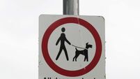 DENIS stock 47 Man on theft charges says he needs bail to give him time to find home for dog