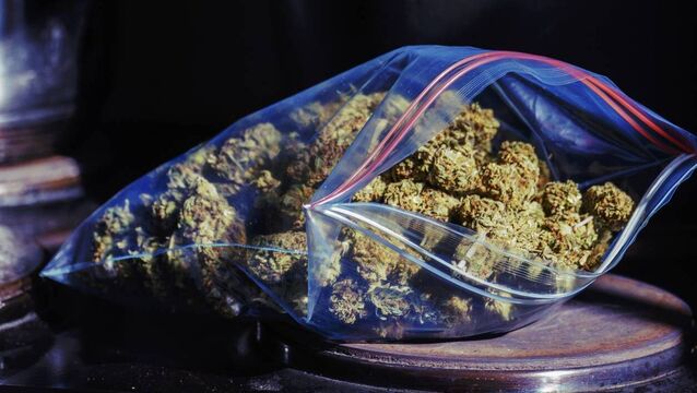 <p>Defendant is charged with possession of cannabis and having the drugs for the purpose of sale or supply to others.</p> <p>Defendant is charged with possession of cannabis and having the drugs for the purpose of sale or supply to others.</p>