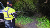 Mallow murder probe examines possible execution-style killing Mallow murder probe examines possible execution-style killing