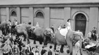 chipper2.jpg Throwback Thursday: Our fond memories of circus visits in Cork