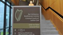 LC anglesea street 15.jpg Surveillance led gardaí to 'low level mule' as she travelled to collect drugs in Co Laois