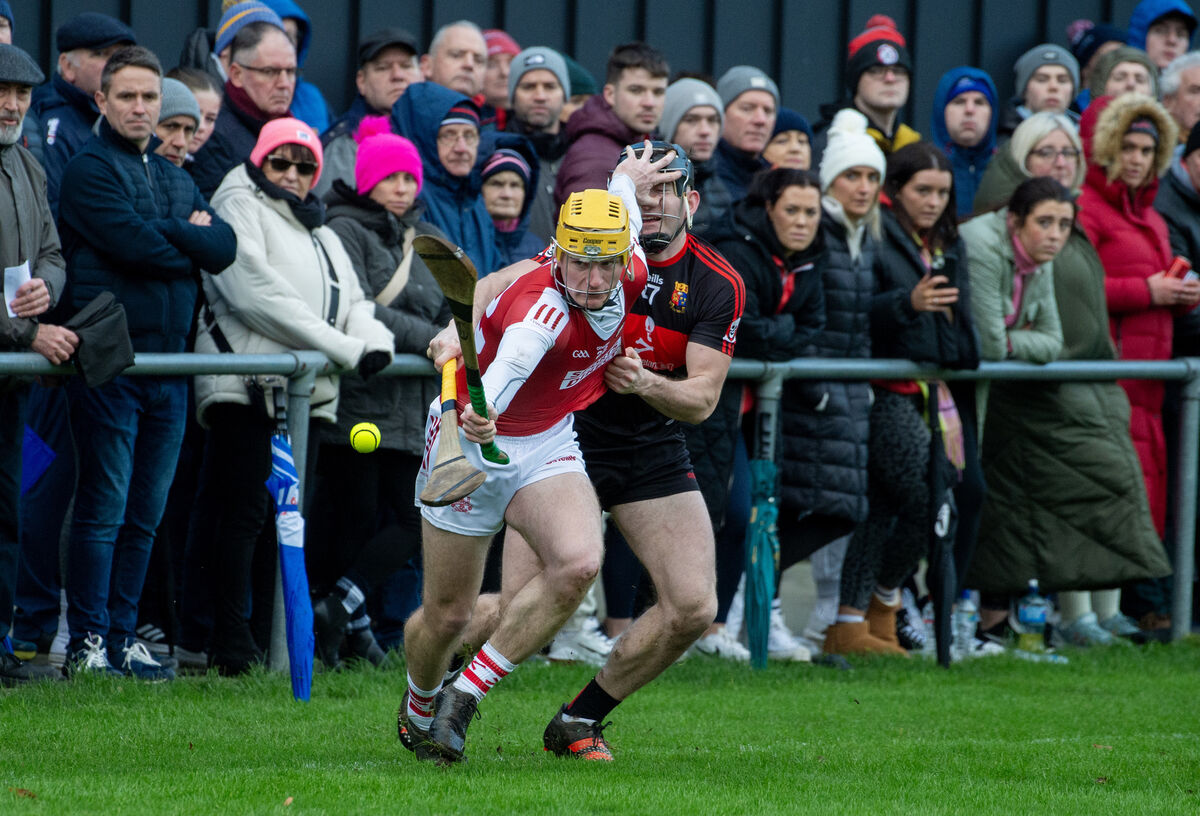 Mark Carey, UCC looking to hold back Seán Desmond, Cork during the annual Canon O'Brien Cup match at the Mardyke, Cork. Picture: Dan Linehan Mark Carey, UCC looking to hold back Seán Desmond, Cork during the annual Canon O'Brien Cup match at the Mardyke, Cork. Picture: Dan Linehan
