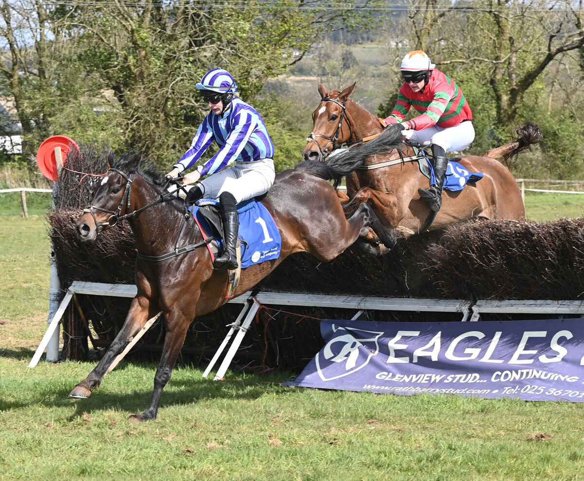 Alan O'Sullivan on Ballylickey Bay wins from James Murphy on One Day In May over the last in the 5 Y-O mares maiden race at Dromahane. Picture: Eddie O'Hare Alan O'Sullivan on Ballylickey Bay wins from James Murphy on One Day In May over the last in the 5 Y-O mares maiden race at Dromahane. Picture: Eddie O'Hare