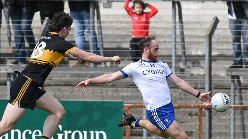 Noel O'Leary: Cill na Martra will have to stay focused, this grade is wide open Noel O'Leary: Cill na Martra will have to stay focused, this grade is wide open
