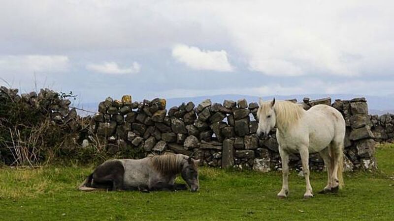 Irish folklore in Meath and Laois: Gates that won't close and the House of Death Irish folklore in Meath and Laois: Gates that won't close and the House of Death