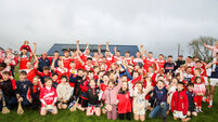 GAA JAHC WINNERS, Kilbree v Ballinascarty at Kilbrittain, Co. Co Carbery JAHC: O'Donovan and Ryan to the fore as Ballinascarthy regain title