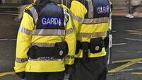 Garda Generic.jpg Irish police